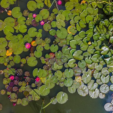 La Parriere Le Saulcy