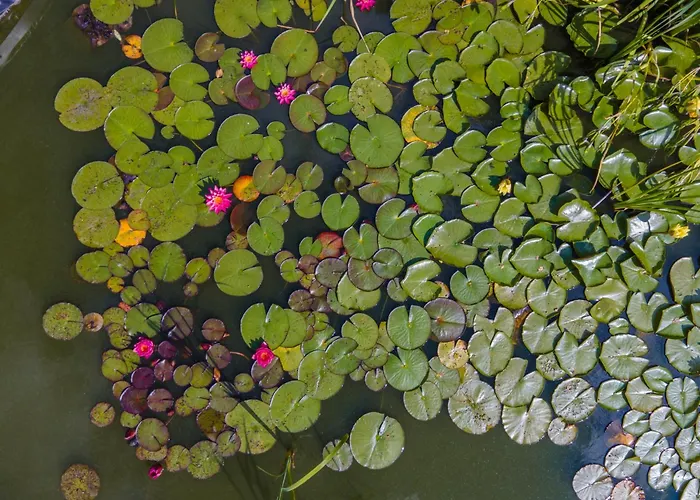 La Parriere Le Saulcy